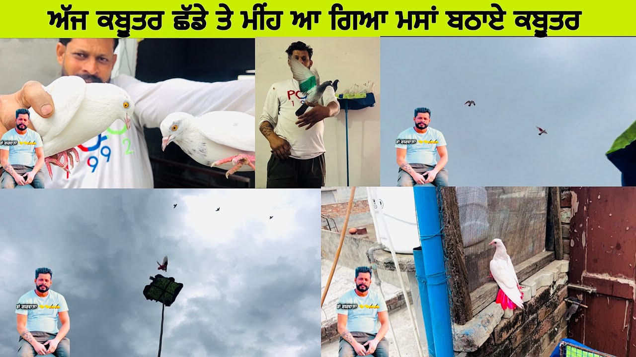 Hanji ਅੱਜ ਆਪਾਂ ਫਿਰ ॥bache ਛੱਡੇ ਸੀ ਤੇ ਫਿਰ ਬਹੁਤ ਮੀਂਹ 🌧️ ਪੈਣ ਲੱਗ ਗਿਆ ਦੇਖੋ ਸਾਰਾ (vlog)