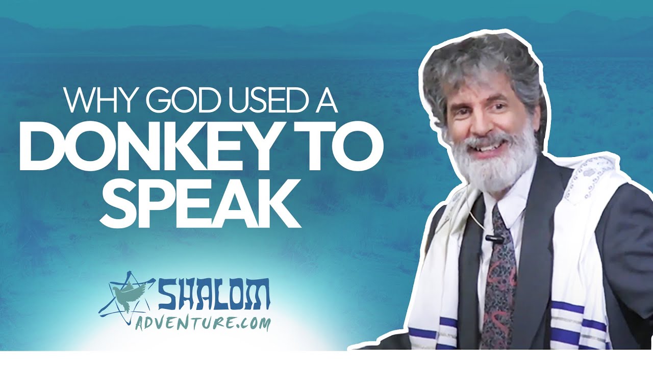 Numbers 22: Balaam the Jackass | Shalom Adventures