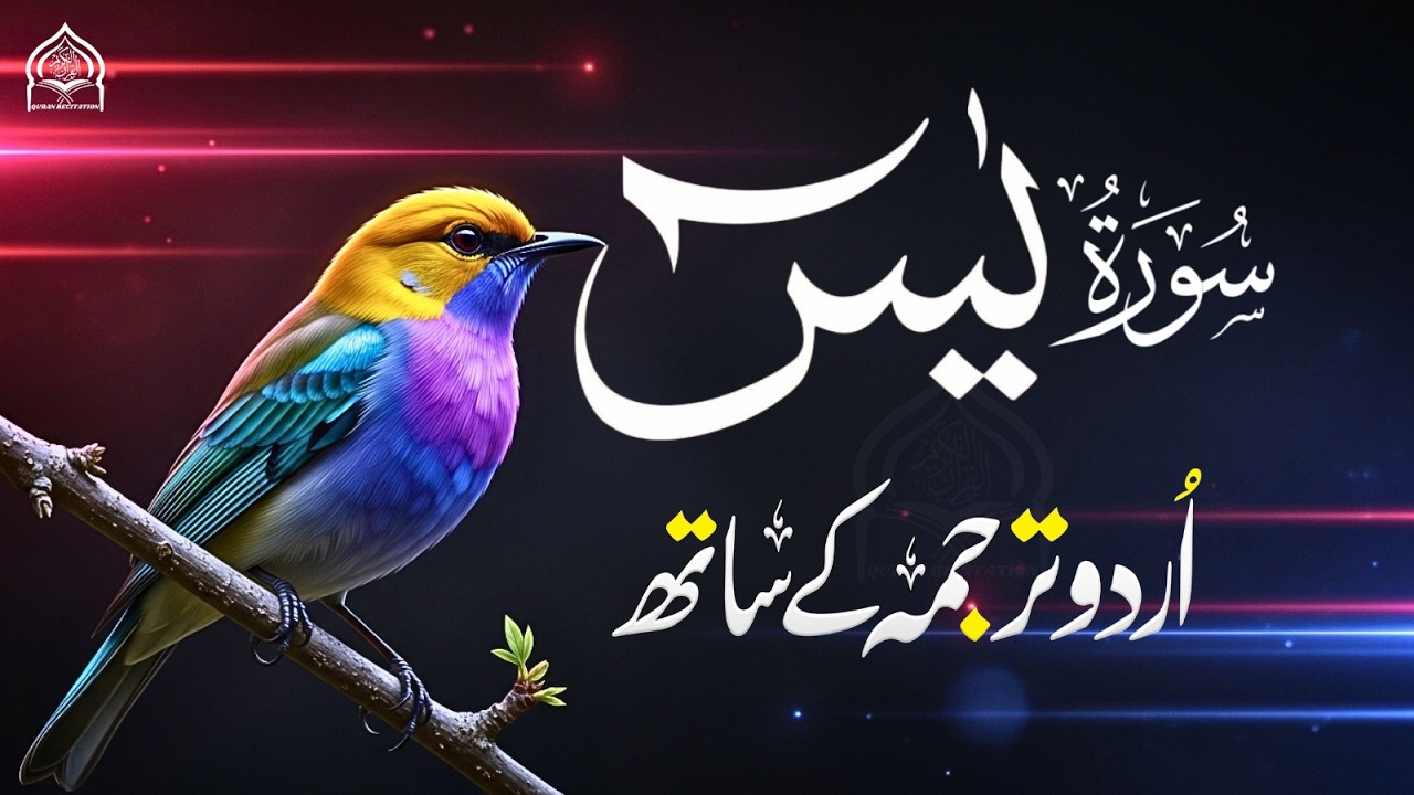Surah Yaseen Full - Heart of Quran Deeply Emotional Recitation - Spiritual Peace & Mental Relaxation