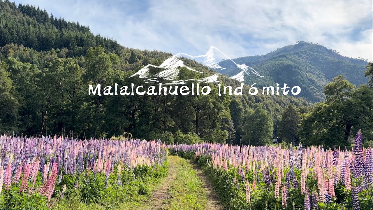 Malalcahuello Ind&oacute;mito | Tierra Salvaje