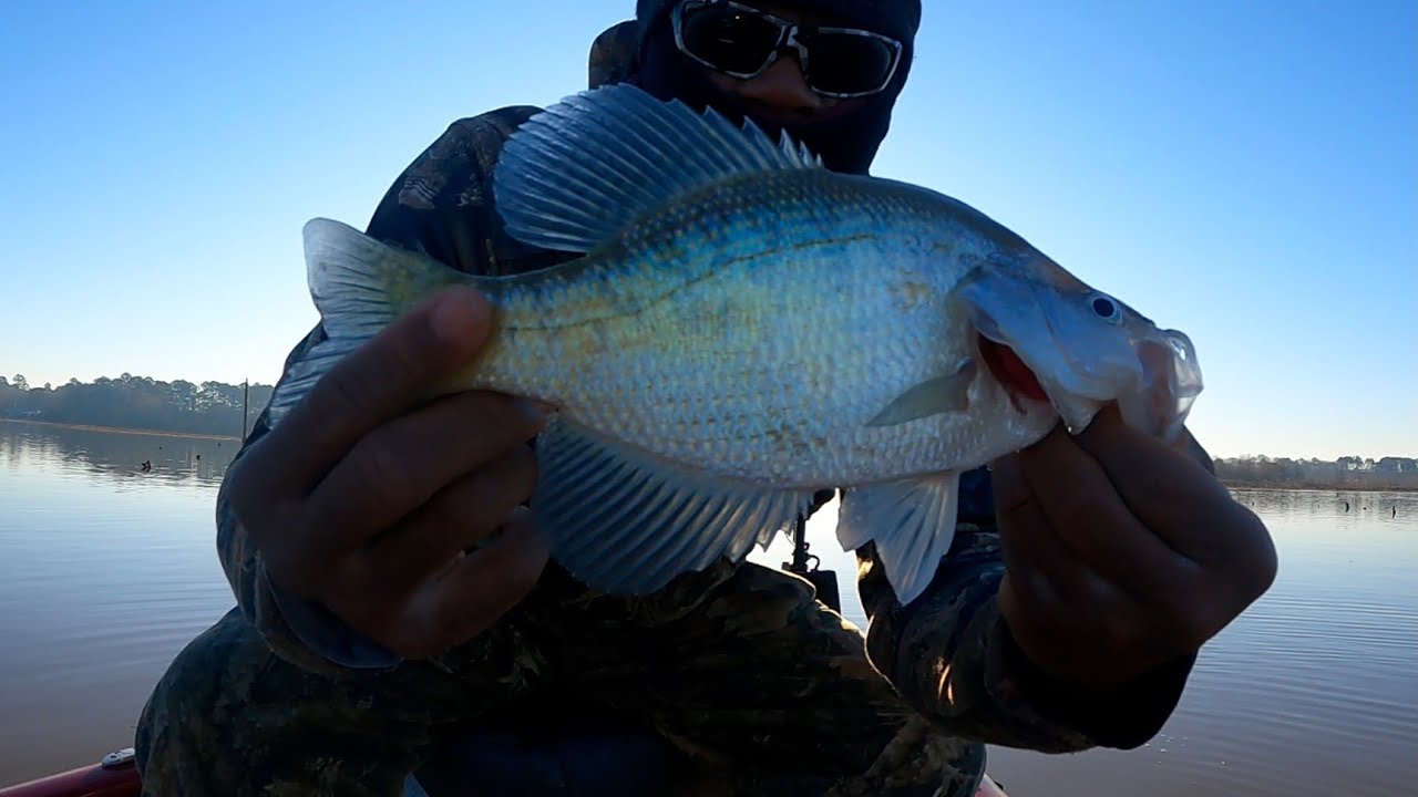 Winter Creek Crappies are on fire 🔥