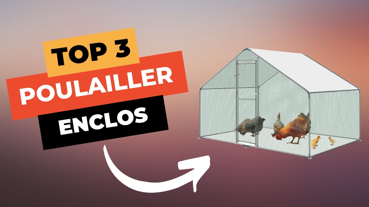 TOP 3 : Meilleur Enclos Poulailler 2025 🔥