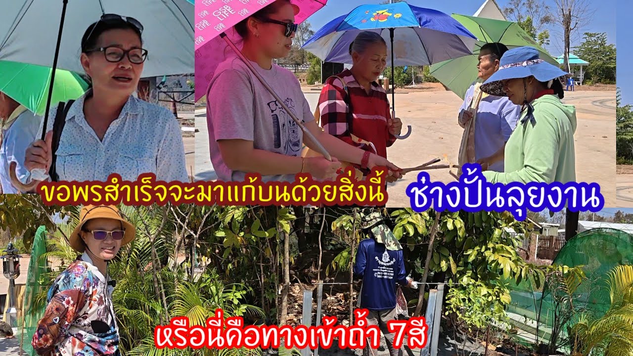สุดตะลึง FCขอพรปู่่ถ้าสำเร็จจะแก้บนด้วยสิ่งนี้ครั้งแรกที่ไม่เคยเห็นมาก่อน ป้าแต๋นดูแลการสร้างถ้ำ7สี