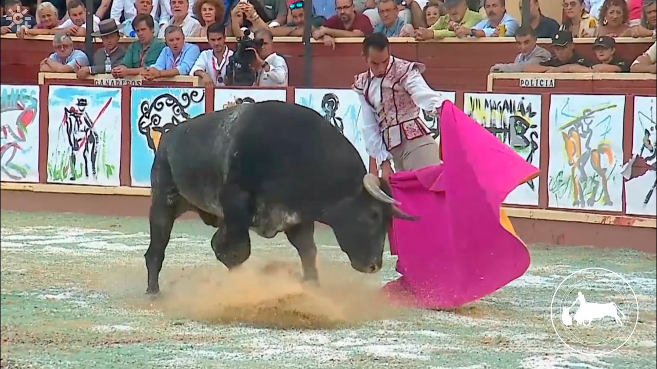 Pepe Moral, primer toro, VII Corrida Magallánica, Sanlúcar de Barrameda, 17-08-2025