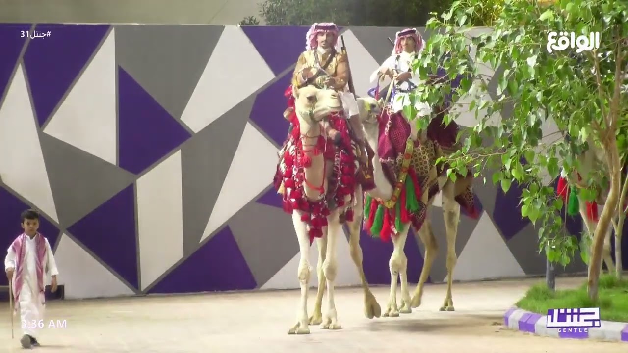 جاكم الجنتل الفارق بداح السبيعي #جنتل31