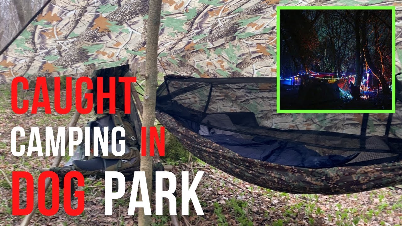 SOLO overnight | Caught STEALTH Camping in Dog Park | 2 nights at a Bushcraft Birthday  Tripod Chair