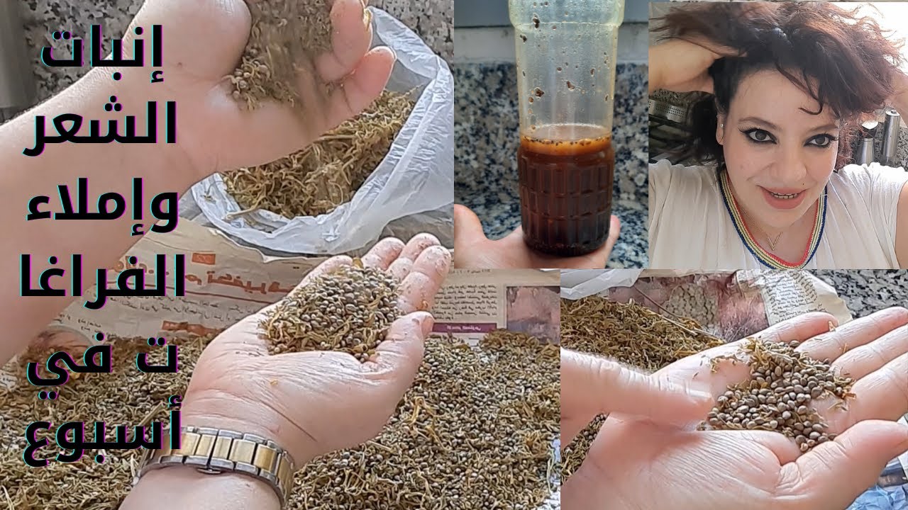 زيت الحشيش الأخضر🌱 اقسم باالله ينبت الشعر  يملأ الفراغات يعالج الصلع والثعلبة/ ويطول الشعر/في أسبوع