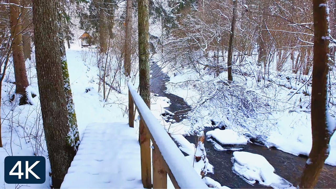 Winter Forest Walk by a Stream | Relaxing Snowy Nature Sounds ( No Talking) [4K]