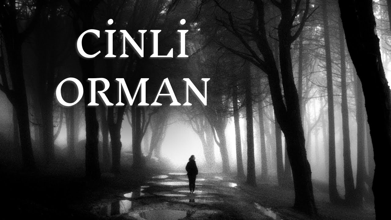 Bursa'daki Cinli Ormanda Bir Gece | Korku Hikayeleri | Paranormal Hikayeler