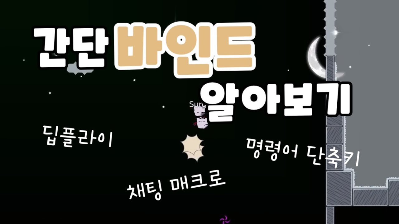 디디넷 바인드 | DDNET