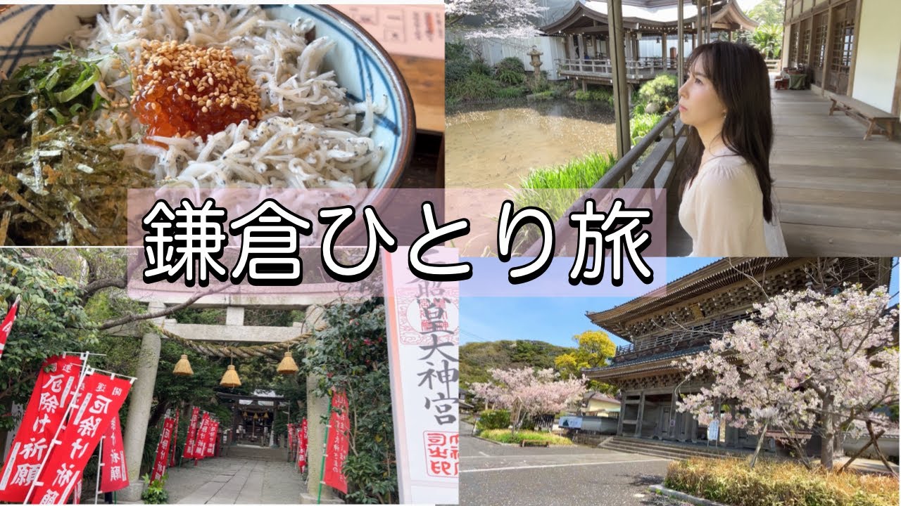 女、鎌倉ひとり旅🌸桜が綺麗でした#40代vlog