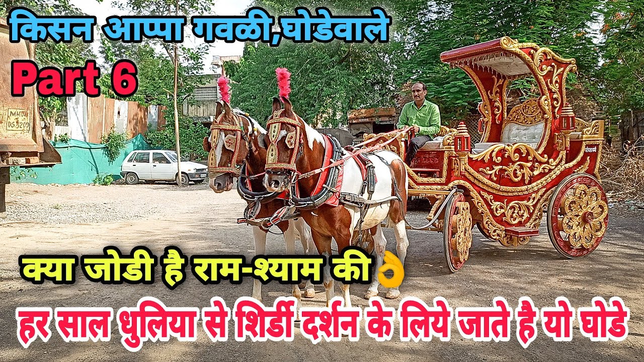 मेले के बिछडे राम-श्याम घोडे फिर एक बार मिले।। अबलक घोडे भी किसी से कम नही।। Patiyala Baggi