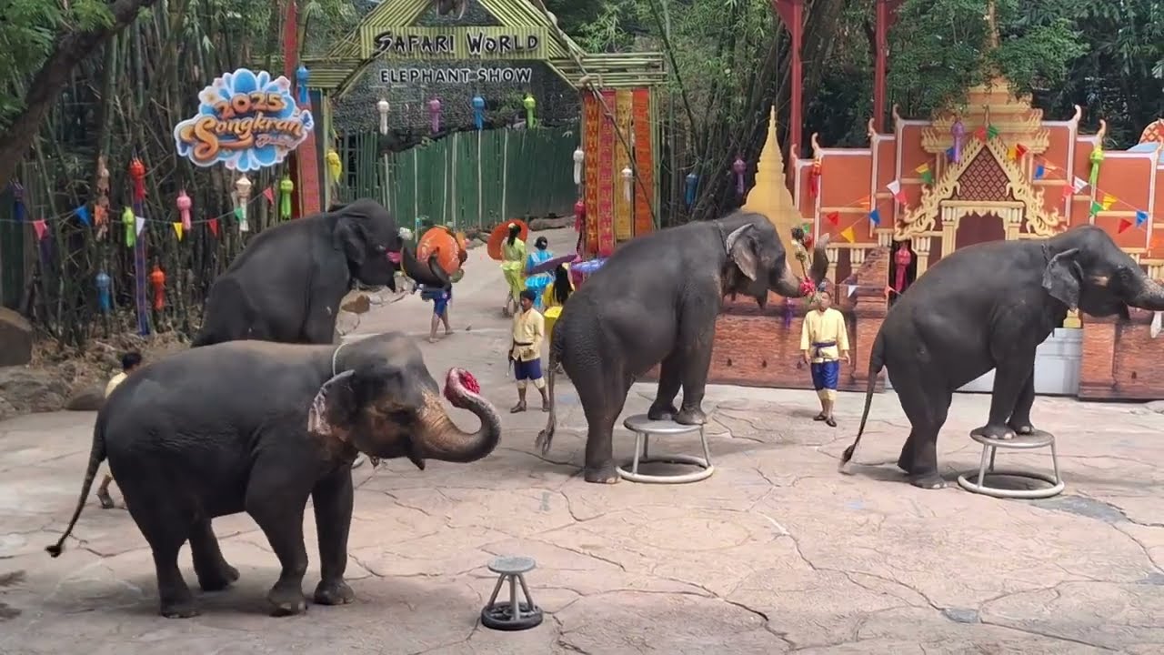 Elephant show in Safari World Thailand # Thailand Zoo # Children show in Thailand # Elephant show