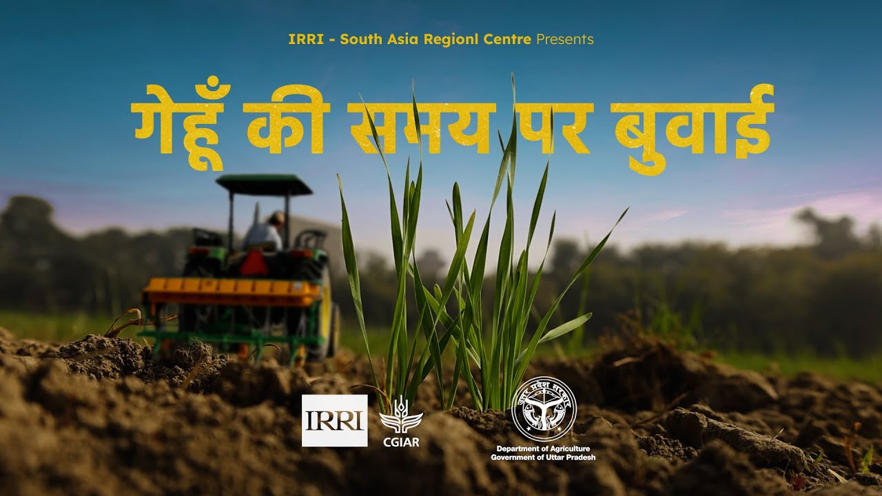Timely Sowing of Wheat
