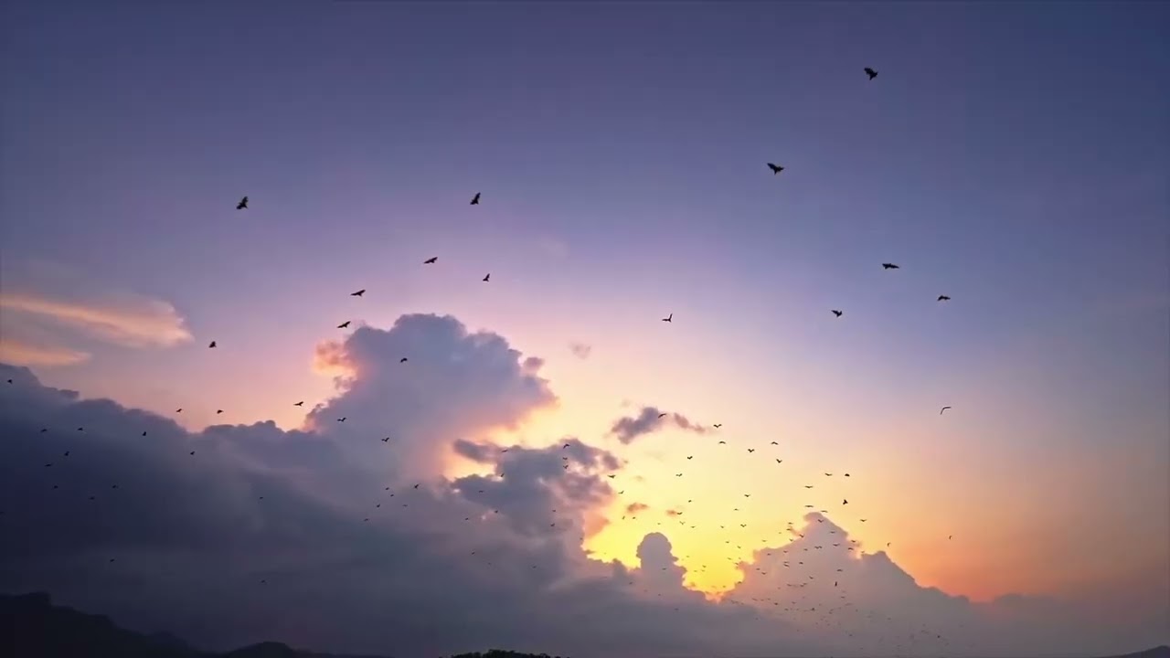 TOUCH THE CLOUDS (shorter version) - Videoclip