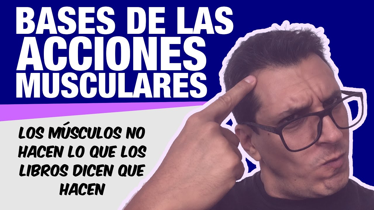 BASES DE LAS ACCIONES MUSCULARES