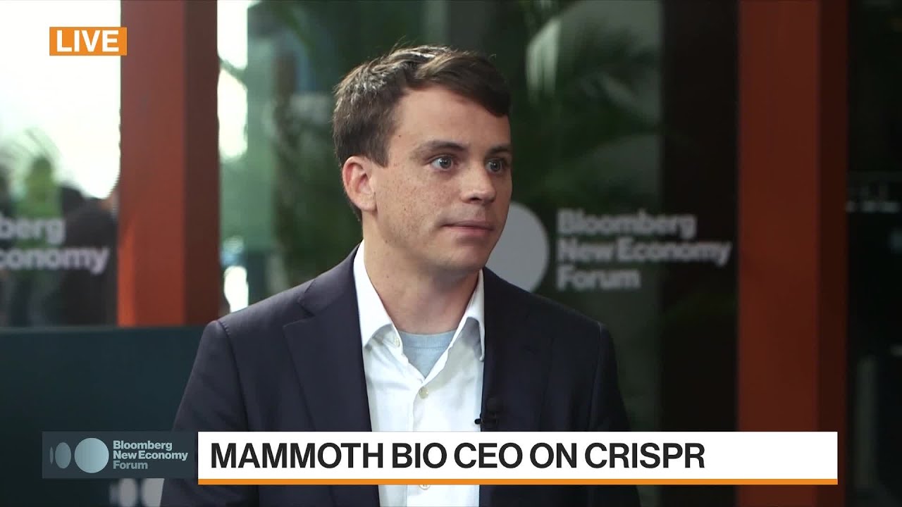 Mammoth Biosciences CEO on Crispr Technology
