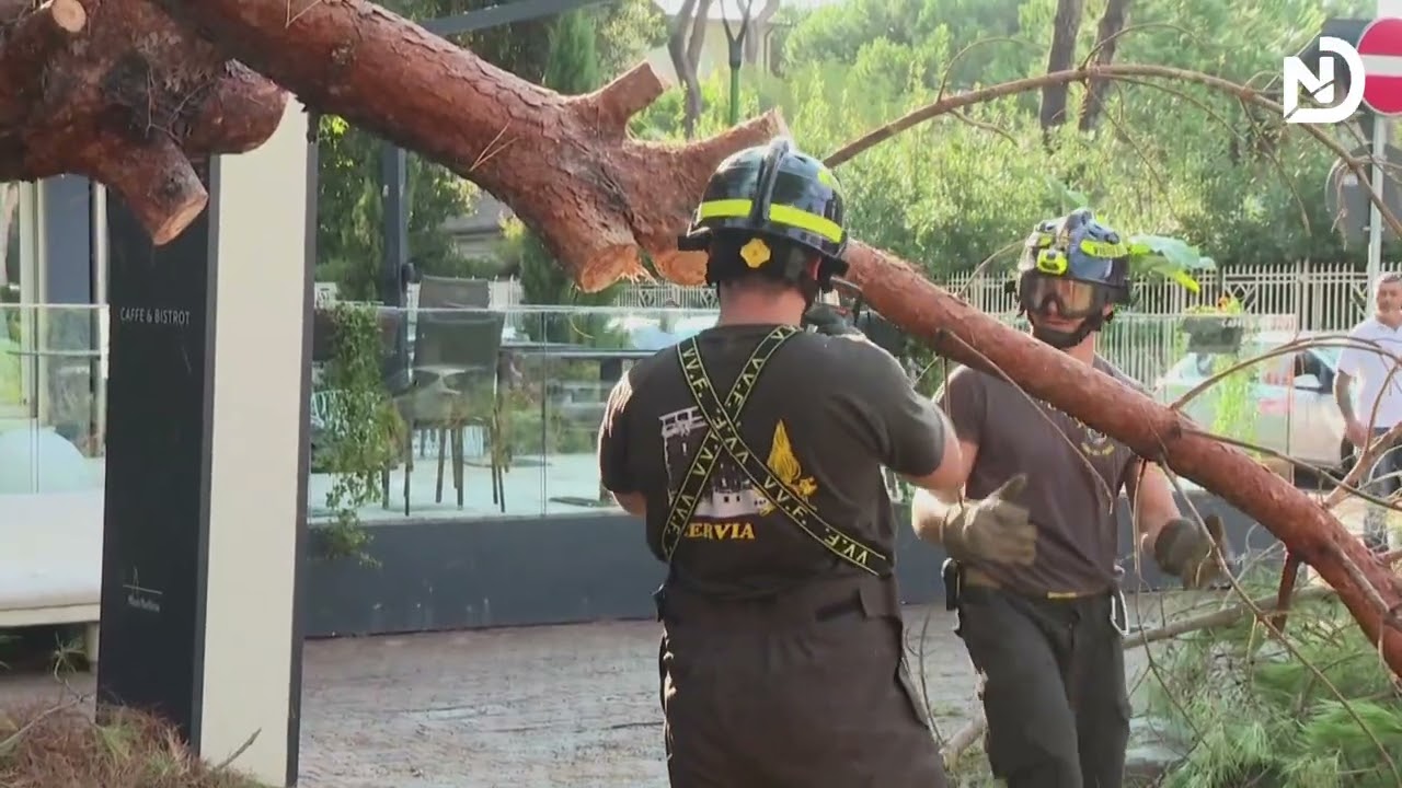 Italy Storm Damage: Trees Crush Cars, Roads Closed in Emilia-Romagna