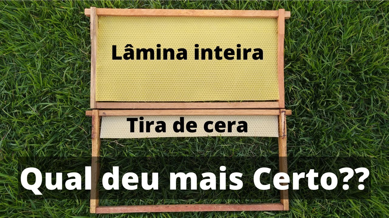 Troca de Cera - As abelhas Puxaram Favos?