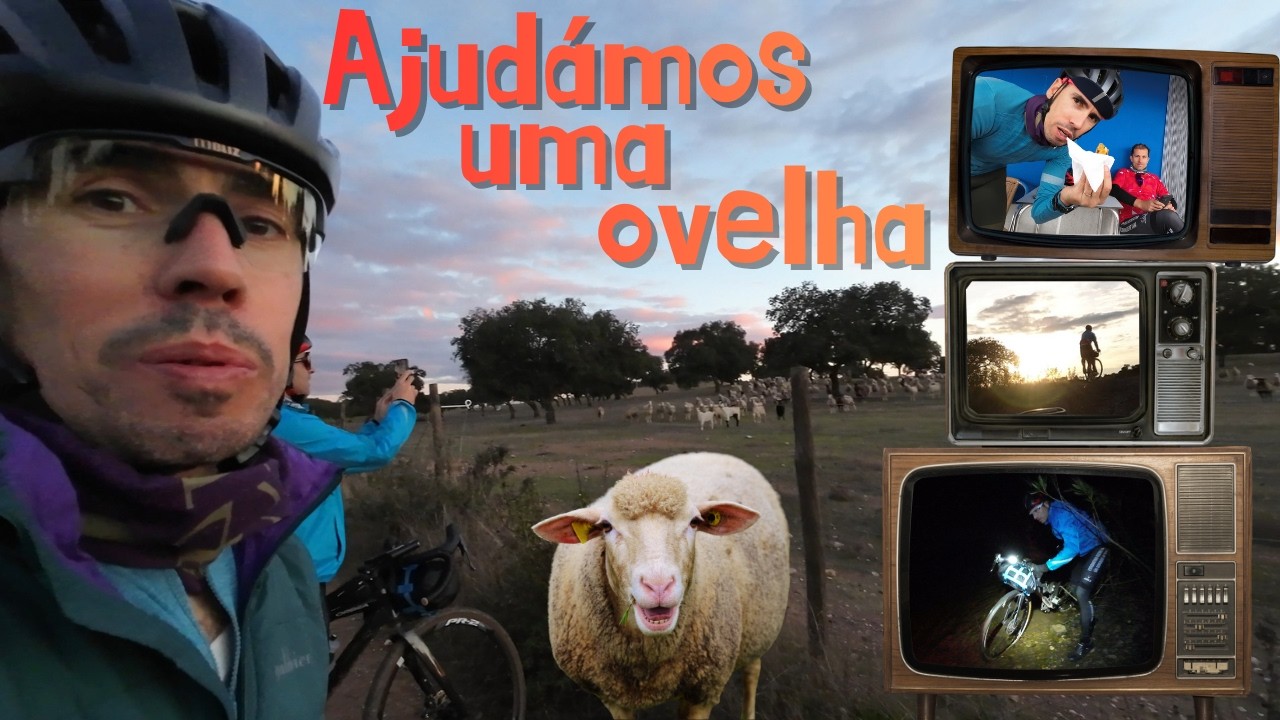 A GR15 Não Perdoa: Vacas, Uma Ovelha Presa e 20km com os Pés Gelados