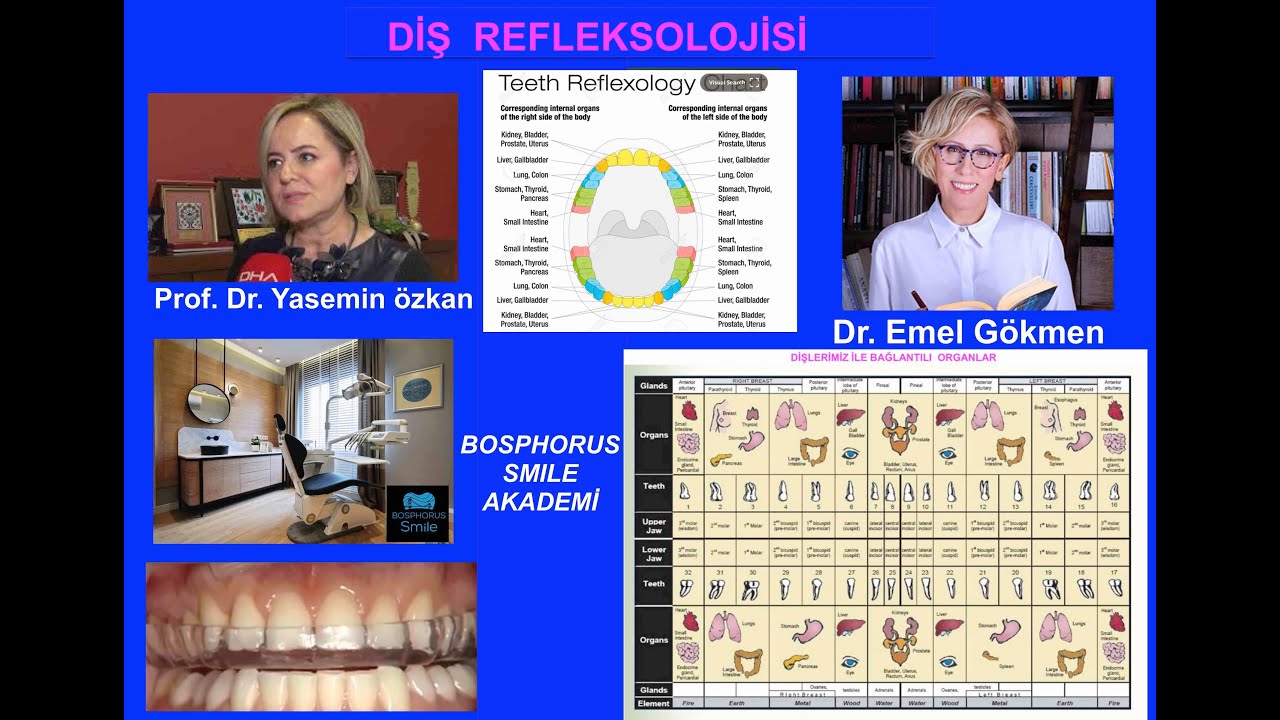 GEÇMEYEN BAŞ AĞRILARI VE DİŞ REFLOKSOLOJİSİ  İLİŞKİSİ