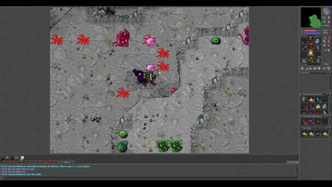 Let's Play Tibia: Silveus Wyrm + kick death