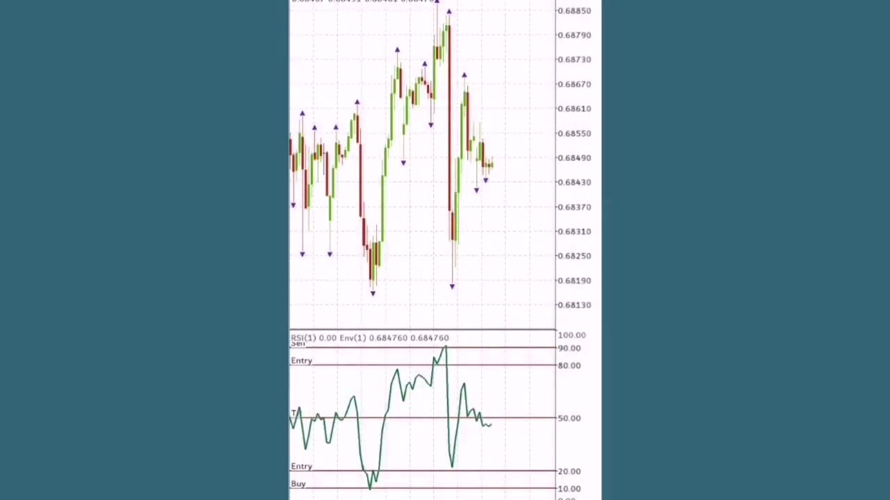 I traded the Forex Beginner strategy I shared with you and this happened