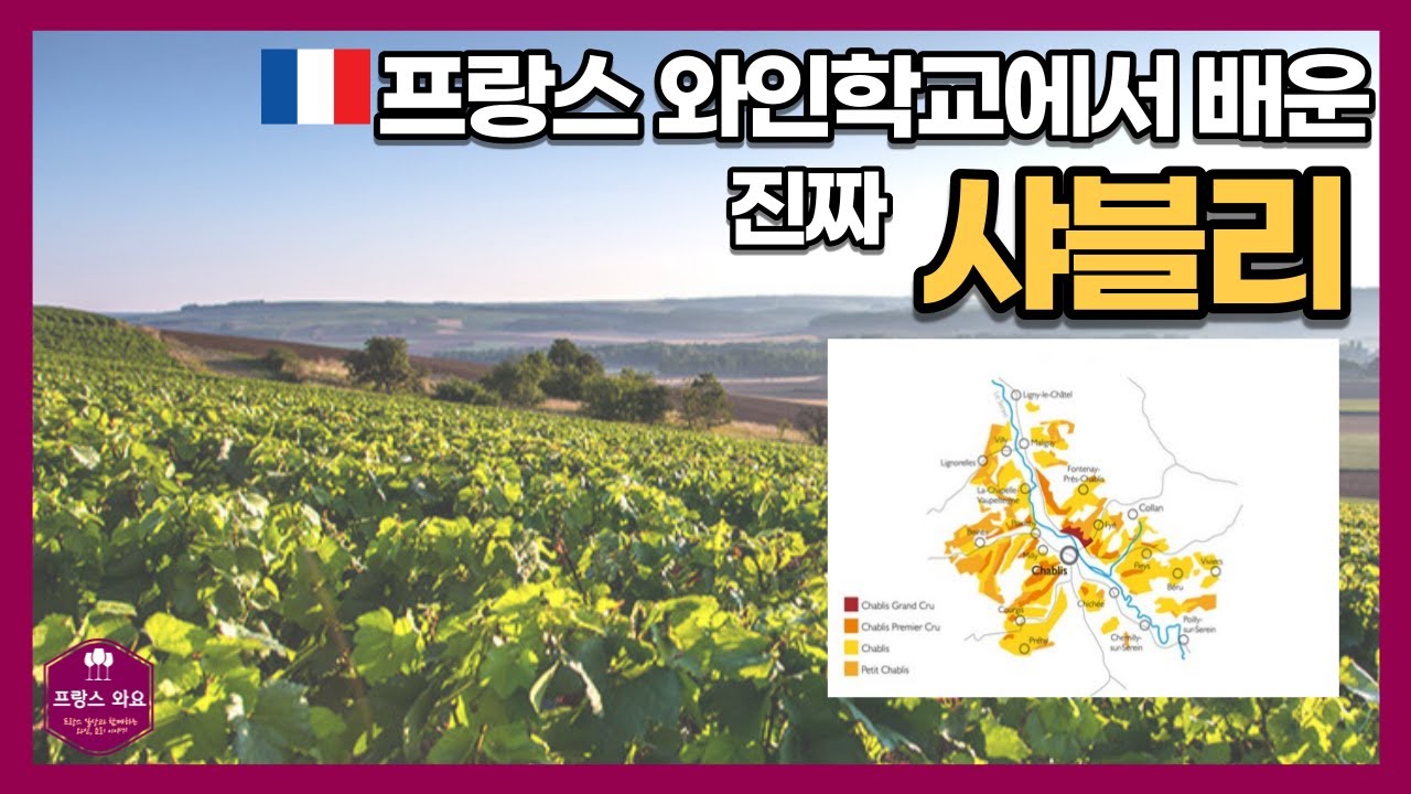 부르고뉴 이것만은 알고 마시자 3탄!! 샤블리 chablis