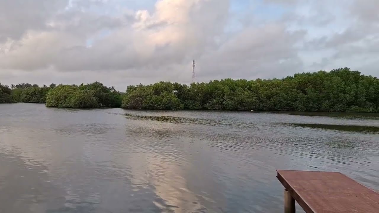 Chilaw Lagoon Tour : Serenity in Sri Lanka #foryou #travel #srilanka #nature #lagoon #naturelovers