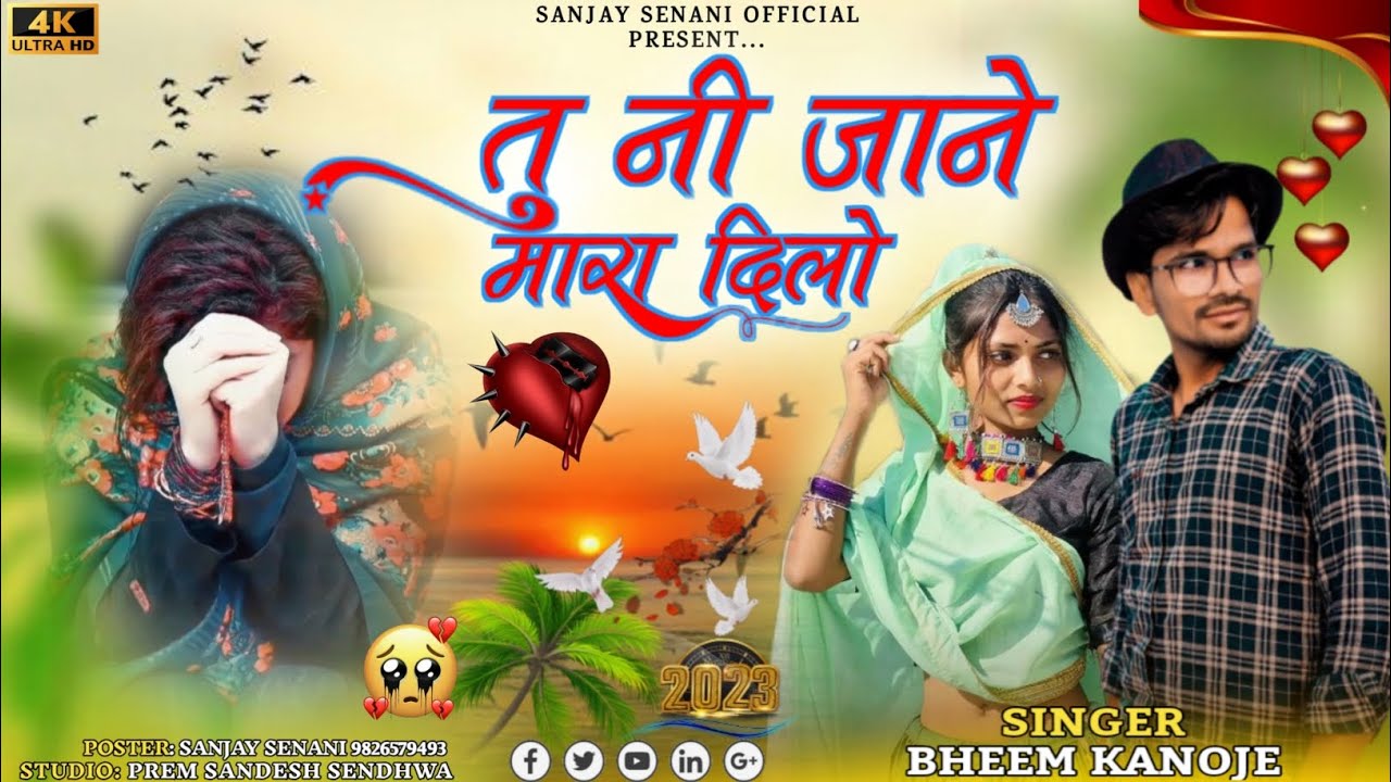 😭बेवफा सोंग तु नी जाने मारा दिलो ने दर्द ! गायक भीम कनोजे ! BHEEM KANOJE BEWFA SONG Aadiwasi Gana