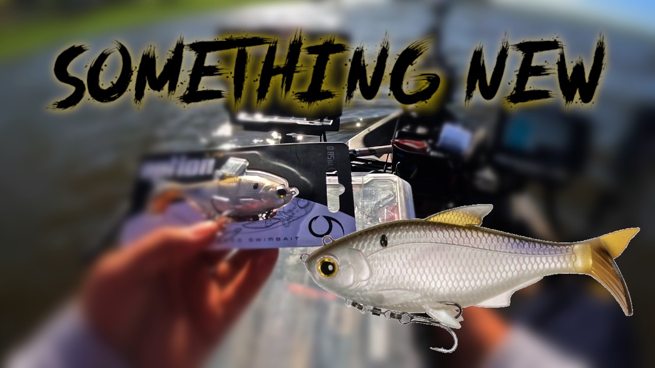 Kayak Fishing with the 6th Sense Option 3.75
