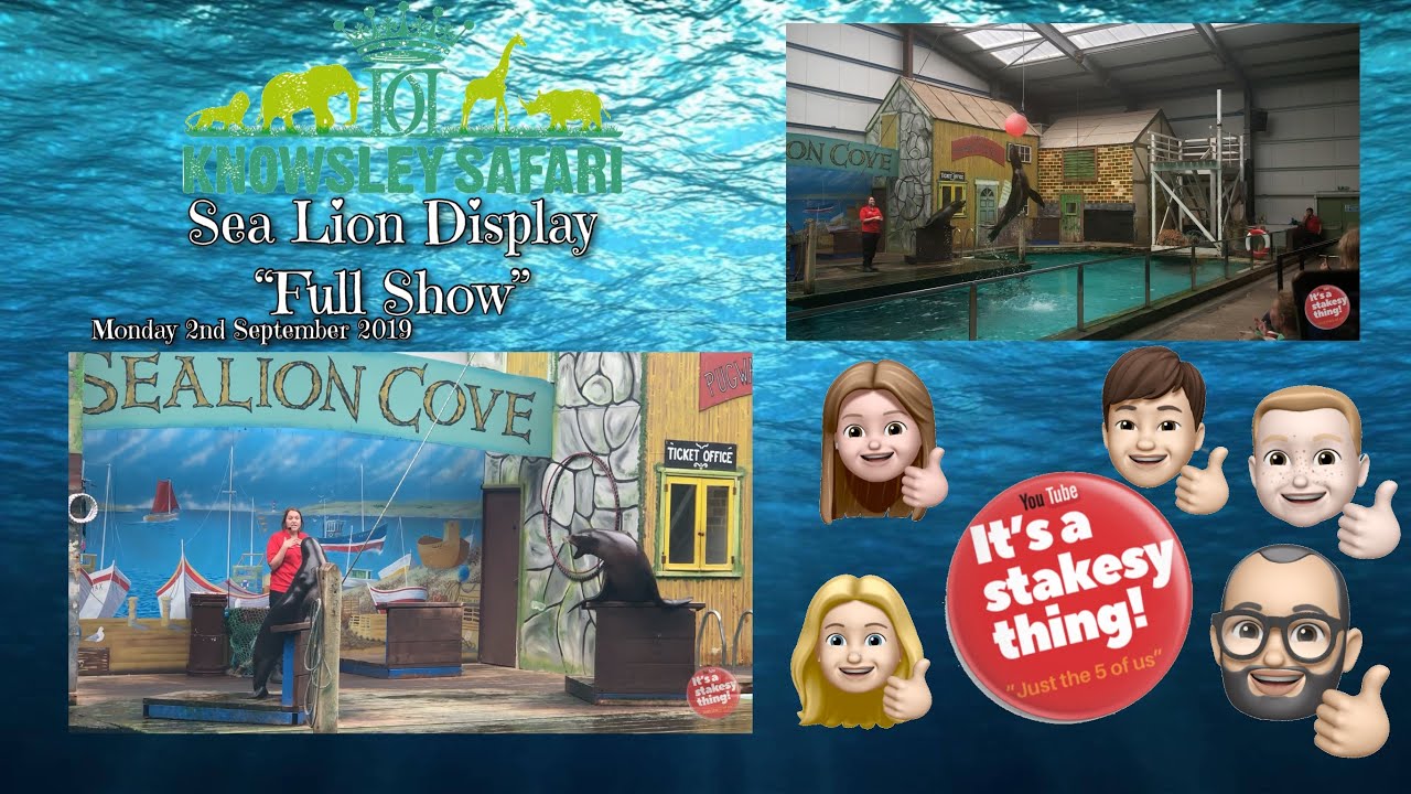 Knowsley Sealion Display