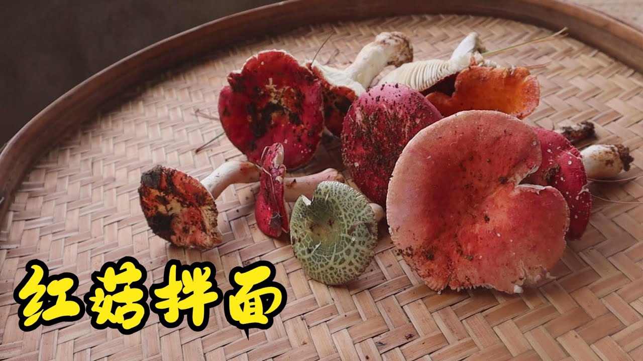 最近山里红菇很多，今天试试野生菌拌面条