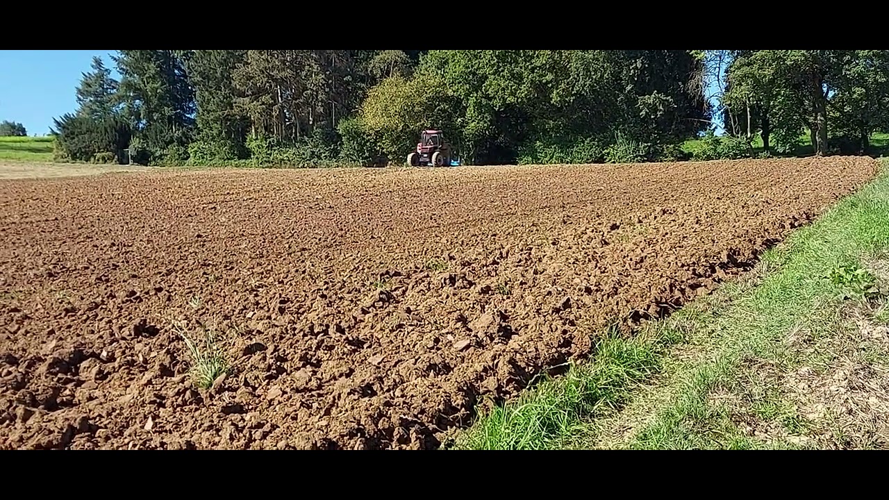 FarmVlog IHC 1056 Muss alles Geben an der 3.50 Kreiselegge Sound Pur!!!