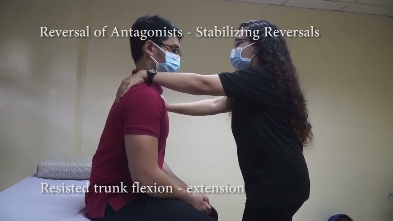 Proprioceptive Neuromuscular Facilitation / PNF Technique