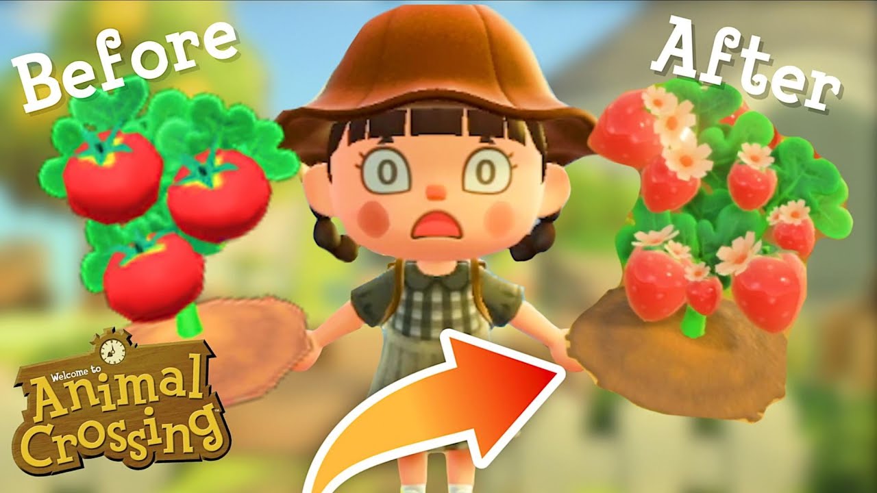 Моддинг — БУДУЩЕЕ Animal Crossing: New Horizons?!