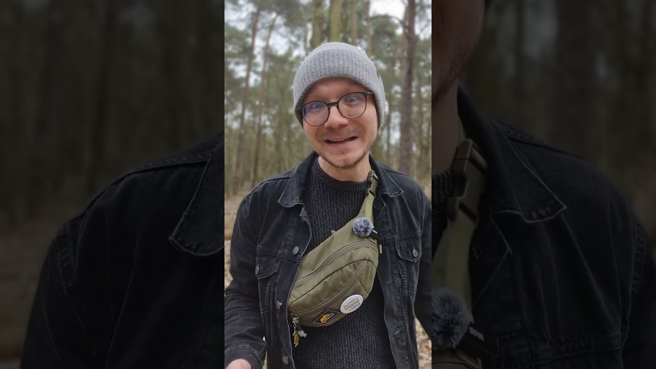 MROCZNA strona WIEWI&Oacute;RKI 😈 #szukamwlesie #wagalasu #tymlasem #przyroda #ciekawostki