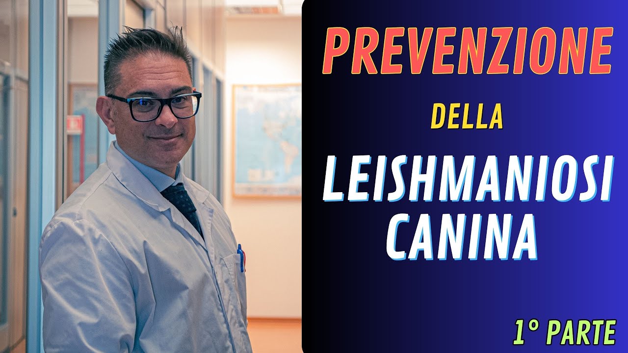 PREVENZIONE della Leishmaniosi Canina - PARTE 1