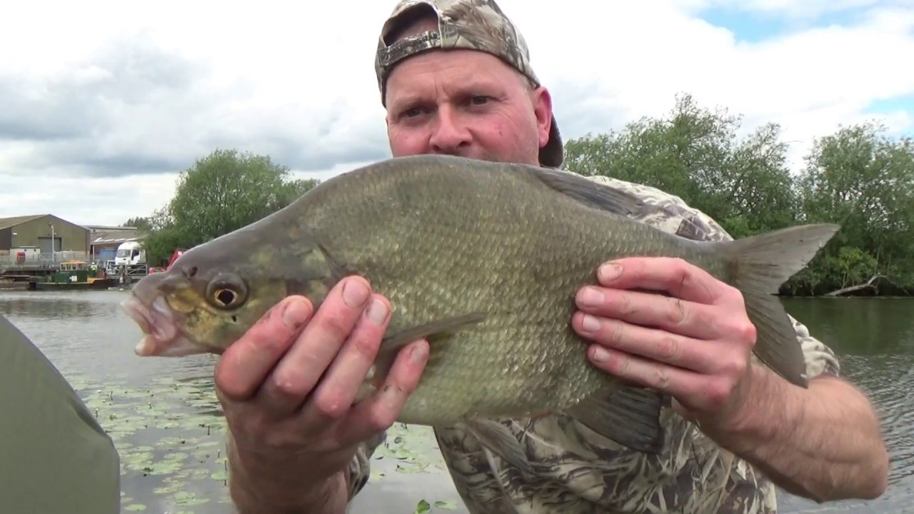 Bream Bonanza. Video 18.