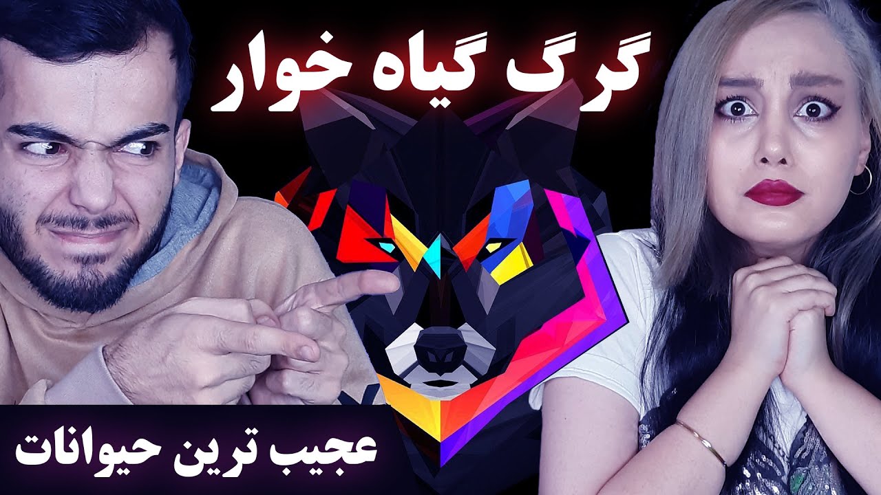 گرگ گیاه خوار دیدید؟ 😳 میدونستید هر آهویی آهو نیست 😂 عجیب ترین حیوانات