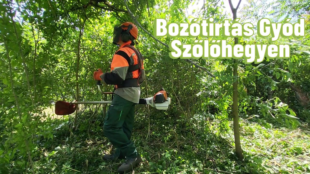 Bozótirtás Gyód Szőlőhegyen
