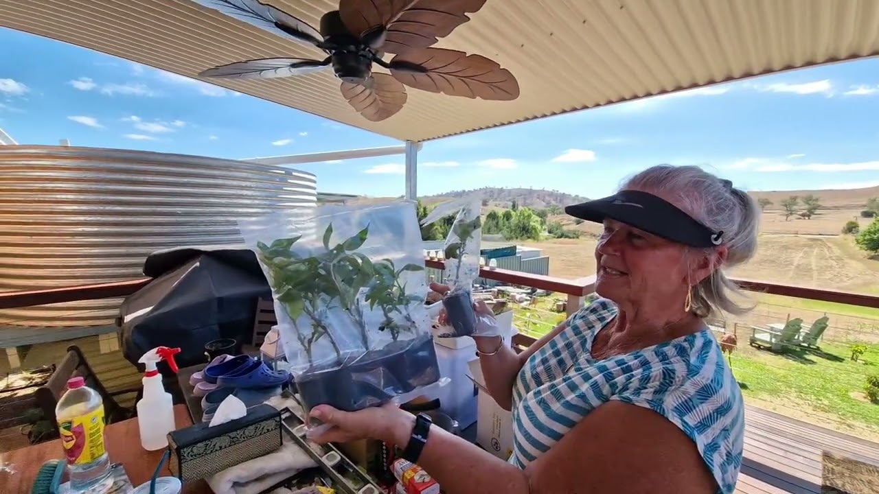 15-21 февраля