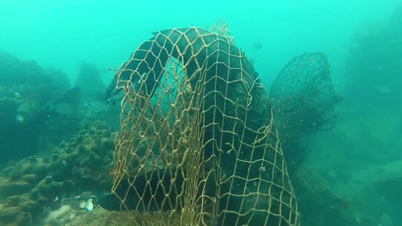 Robberg Plettenberg Bay freediving at The Wreck