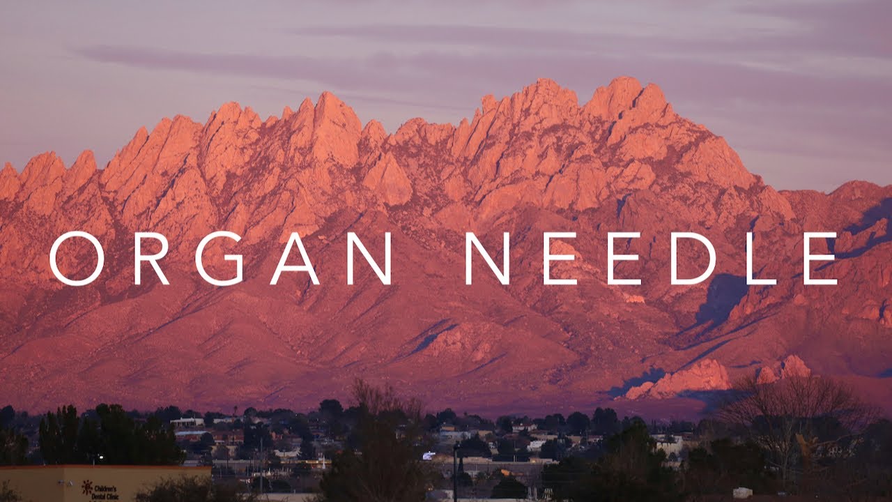 Organ Needle  - New Mexico