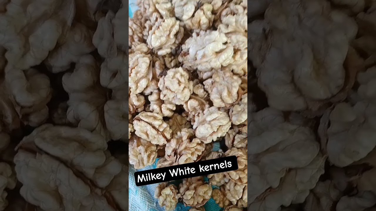 Milkey White kernels // Walnut kernels 