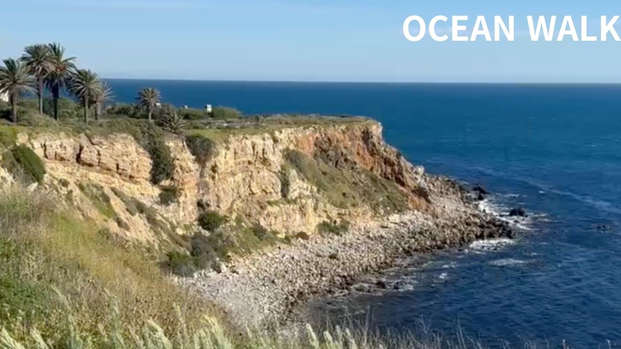 Peaceful Ocean Walk | Bright Coastal Jazz Piano 24 26