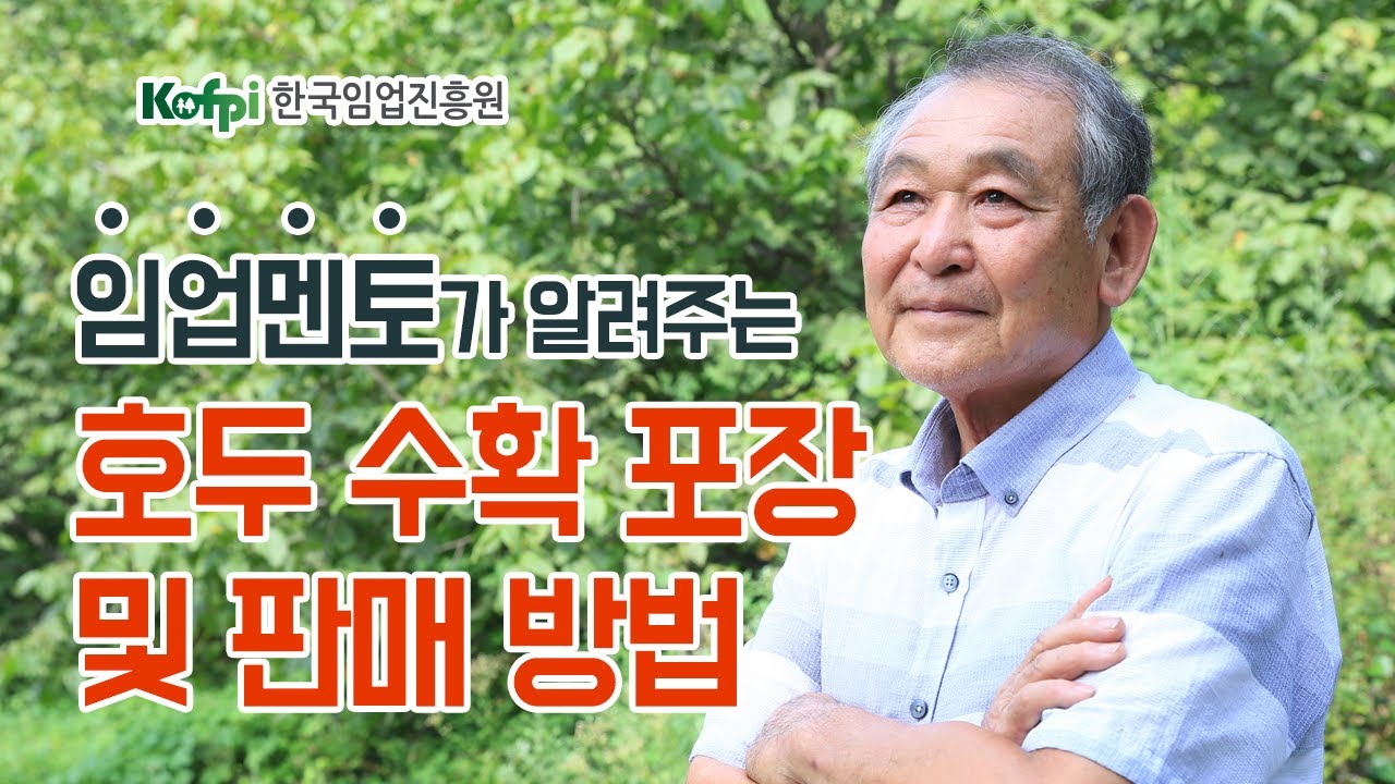 [호두 재배] 6차-호두 수확·포장 및 판매 방법｜청정임산물재배교실