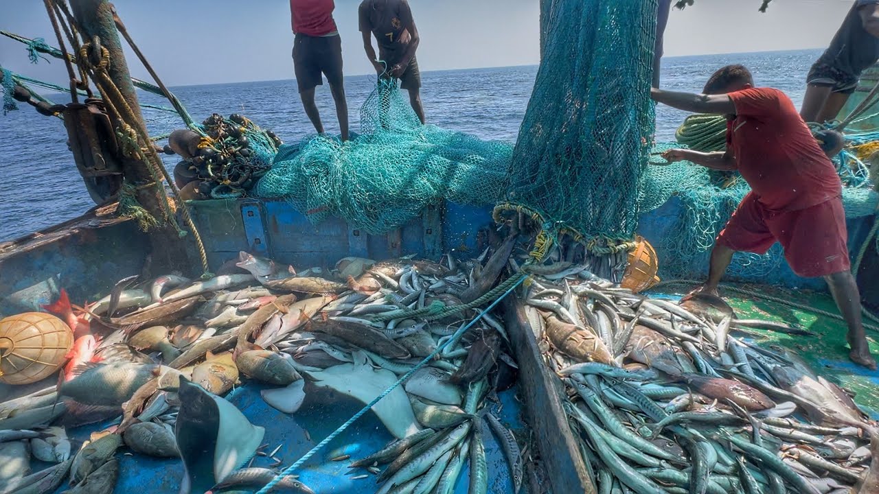 💢MASSIVE TRAWLER HAUL‼️Biggest Catch Ever in Deep Sea 🐟Omg😱 One Day Full Net Fishing 