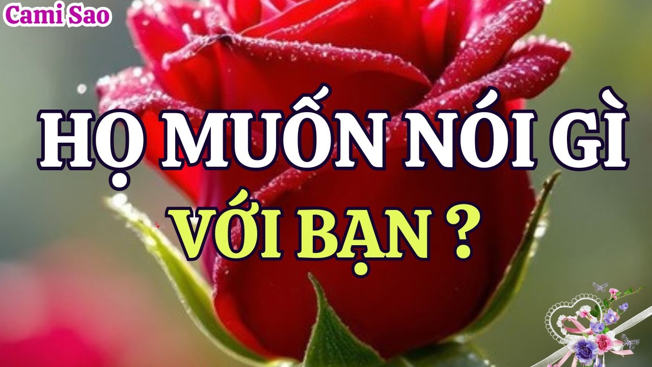 Tarot | Người ấy thật sự muốn nói gì với bạn