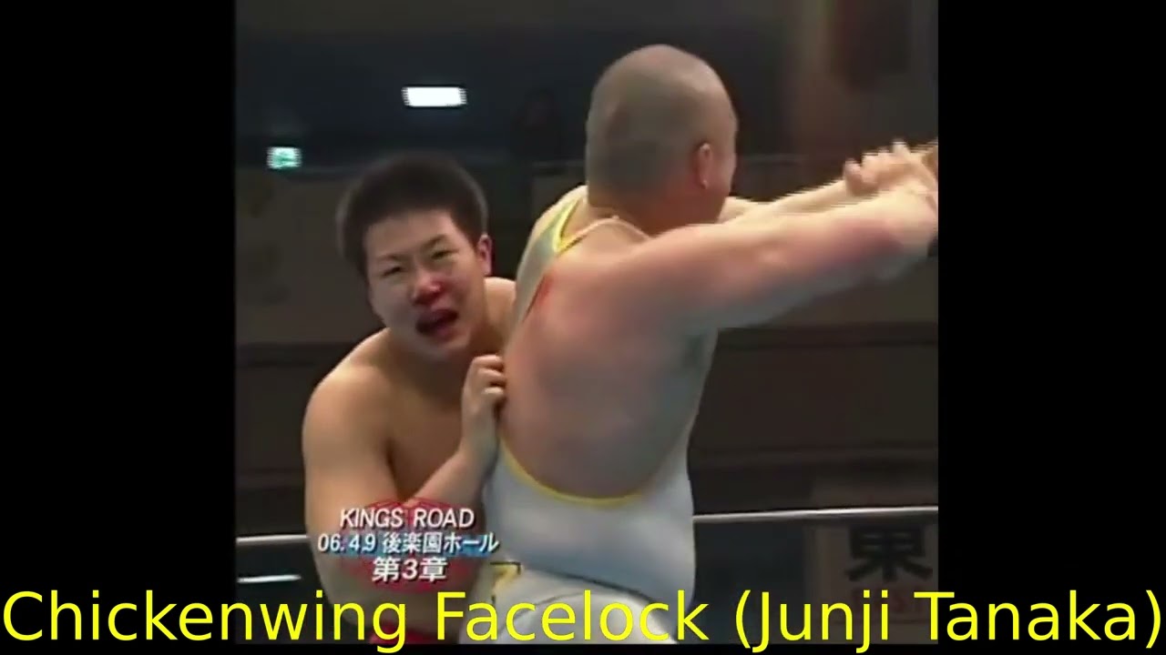 36 unique Pro-Wrestling Submissions in 11 minutes